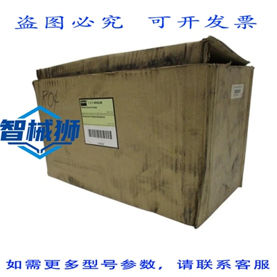 原装供应 DAYTON 4HA38 NSMP