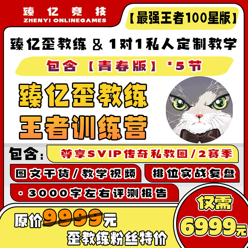 歪教练王者荣耀1对1私人定制教学【传奇王者100星版】