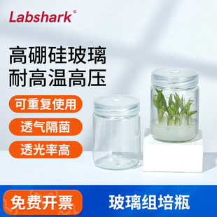 Labshark玻璃组培瓶植物组织培养瓶透气隔菌水培玻璃瓶实验室用