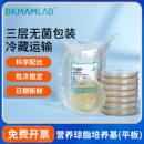 比克曼生物营养琼脂培养基平板9cm血平板tsa微生物细菌培养皿