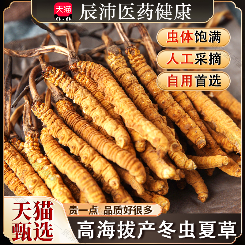 冬虫夏草正品高海拔纯野生正宗西藏那曲虫草干货泡酒料官方旗舰店