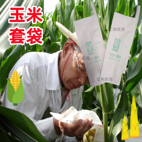 种玉米神器玉米防鼠套袋专用防鸟