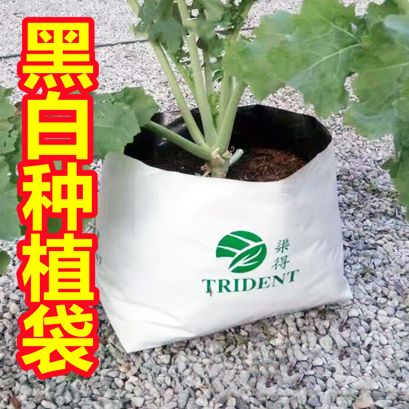 黑白膜种植袋育苗袋植树袋植物营养生长袋无土椰糠栽培袋加厚定制