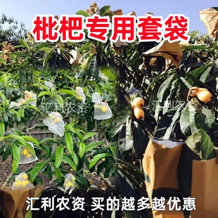 琵琶套袋包水果袋枇杷专用套袋防虫防鸟保护果实的果子乌吃纸袋子
