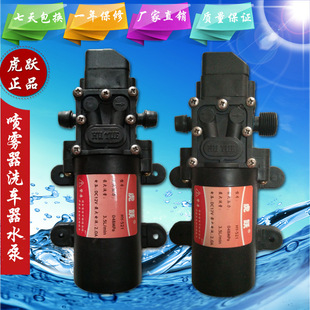 虎跃水泵12V高压洗车水泵微型家用电动喷雾器水泵智能压力775