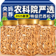 农科院巴西松子2025新货特级大颗粒手剥坚果干零食炒货官方旗舰店