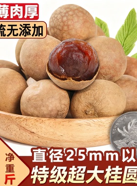 桂圆干肉2025新货大龙眼无核特级补气养血泡水优质正品官方旗舰店