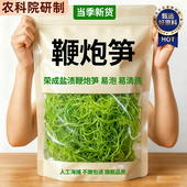 农科院鞭炮笋新鲜火锅食材马尾藻长寿菜霞浦盐渍海藻草海带凉拌菜