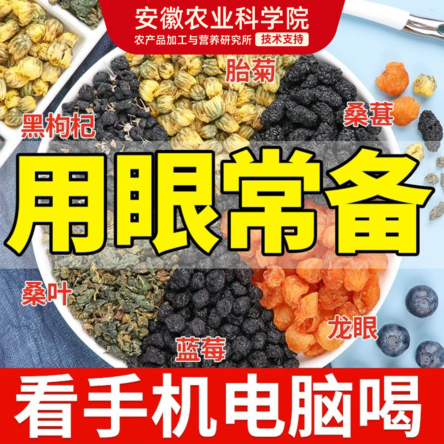 蓝莓叶黄素桑葚黑枸杞龙眼菊花养生茶熬夜护呵眼泡水喝的东西水果