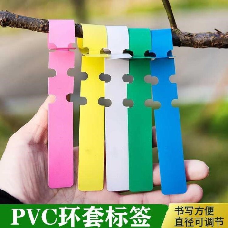 园艺防水柔软名字环形扣标签