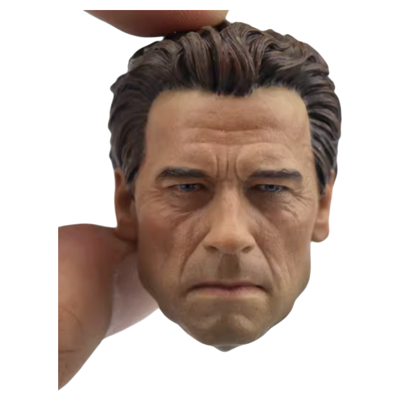 兵人1/6阿诺老年版棕杏色头雕