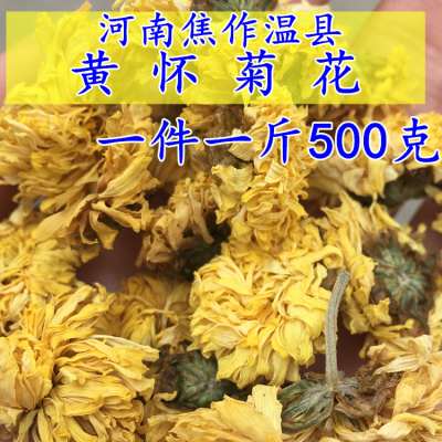 温县黄菊花怀茶无硫泡茶