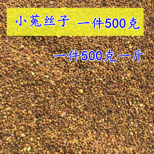 菟丝子500克中药材内蒙古兔丝子茶泡水非野生包邮泡酒男新鲜干货