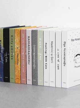 简约样板间儿童房装饰书摆件男孩房桌面书摆设女孩房书柜书装饰品