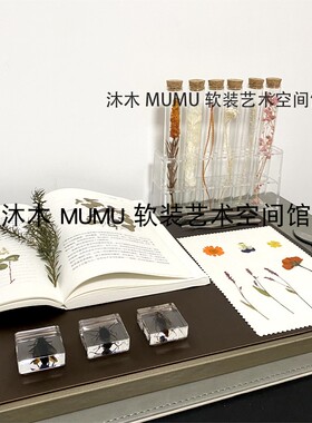 现在样板间昆虫标本主题干花