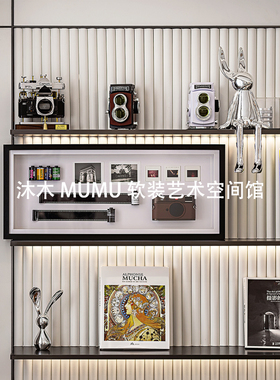 现代轻奢样板间书房艺术摆件相机设计装饰画书架软装饰品兔子摆设