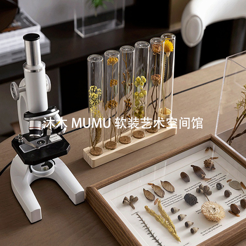 现代简约样板间书房干花标本手工摆件显微镜放大镜客厅桌面装饰品