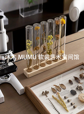 现代简约样板间书房干花标本手工摆件显微镜放大镜客厅桌面装饰品