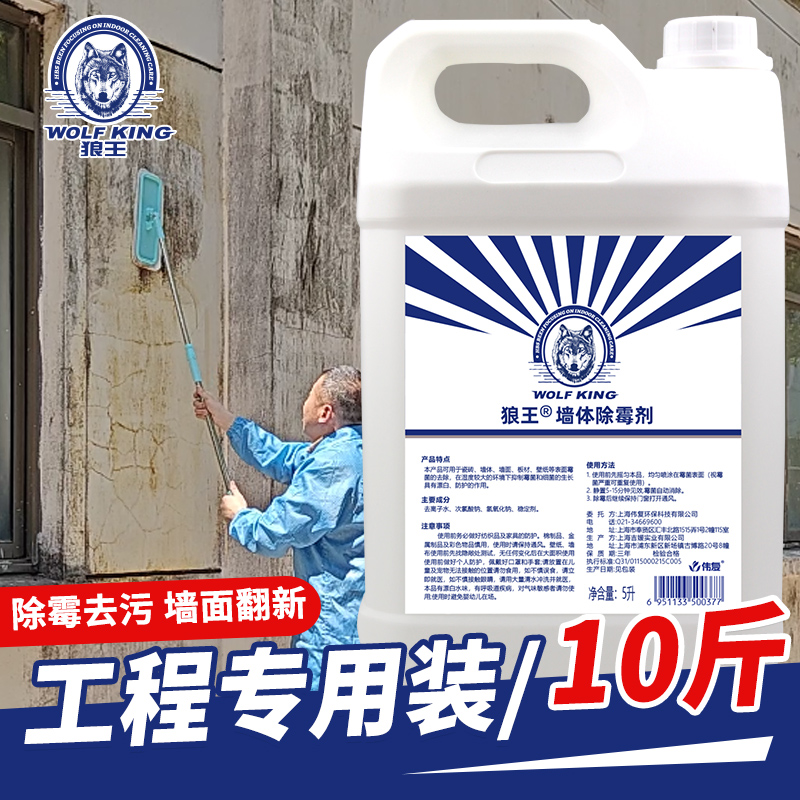 10斤墙体墙面除霉剂工程装