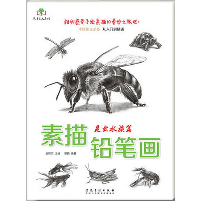 正版 素描铅笔画 昆虫水族篇 一支笔 一张纸 体验素描的轻松和愉悦