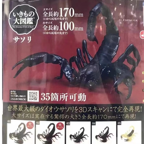生物大图鉴蝎子帝王蟹雨林蝎金蝎