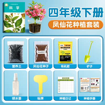 【课本同款】凤仙花种植套装