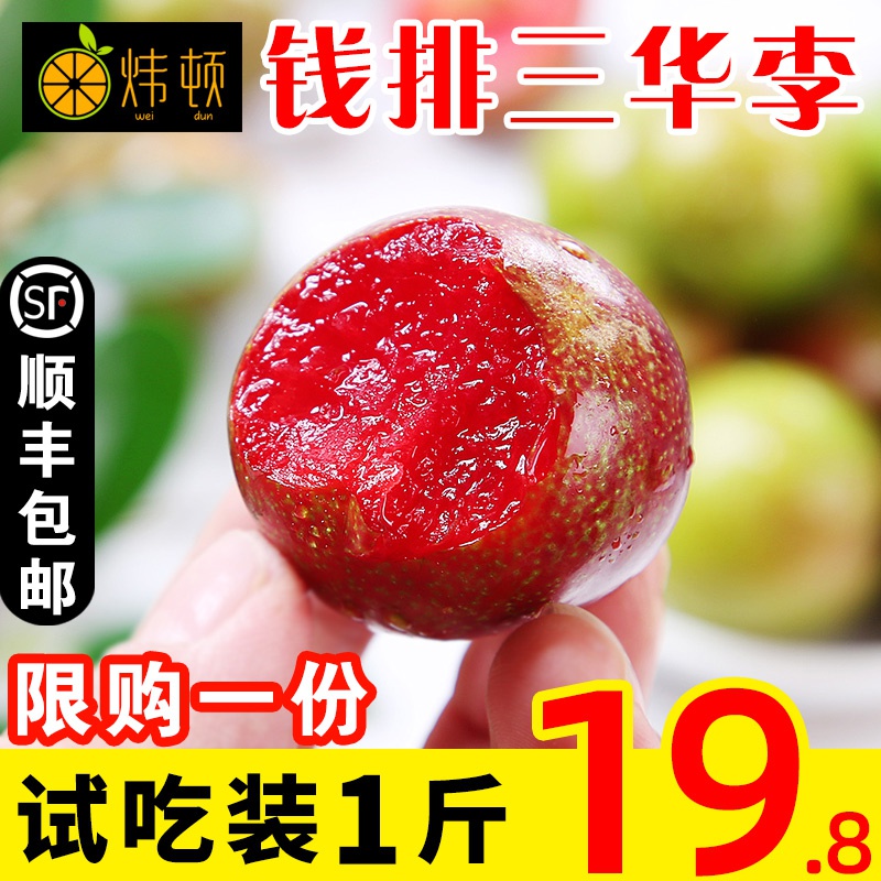 炜顿 广东钱排三华李当季水果新鲜现货红心李整箱山华李子 发顺丰