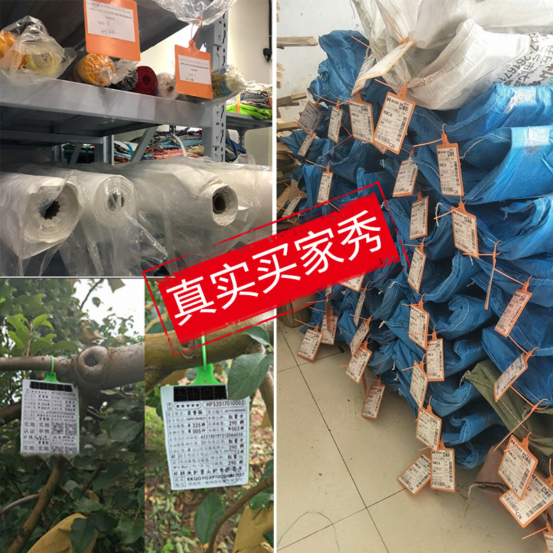 塑料挂签一体式封条吊牌安能物流标签子I单挂牌韵达快运扎带标识