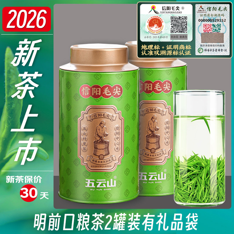 2026新茶五云村信阳毛尖