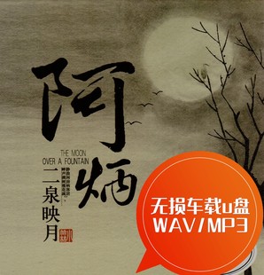 MP3 阿炳二胡 听松 二泉映月 昭君出塞春江花月夜 无损车载u盘WAV