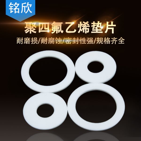 P10*T四氟垫片 2* F02865**1821*E23.5 513 ** **552314150*