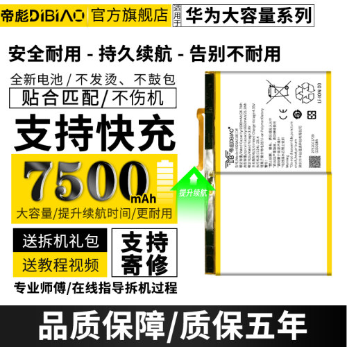 大容量全新电池 持久续航 质保五年换新服务
