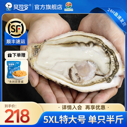 贝司令乳山生态生蚝鲜活10斤特大5XL海鲜水产新鲜海蛎子蒜蓉牡蛎