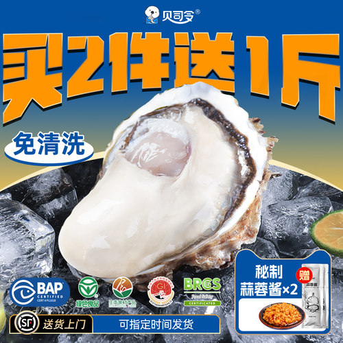 贝司令乳山生蚝顺丰鲜活到家