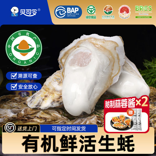 贝司令有机绿色鲜活生蚝