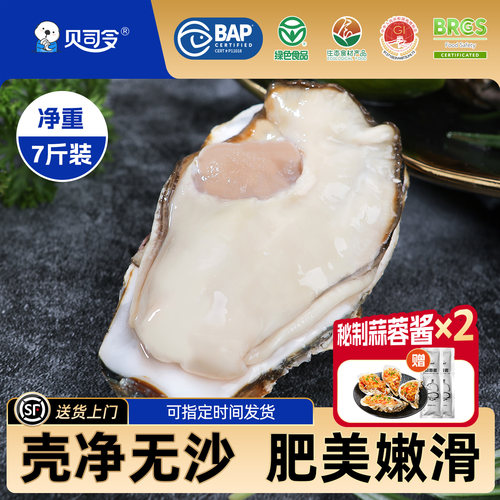 贝司令鲜活乳山免洗生蚝