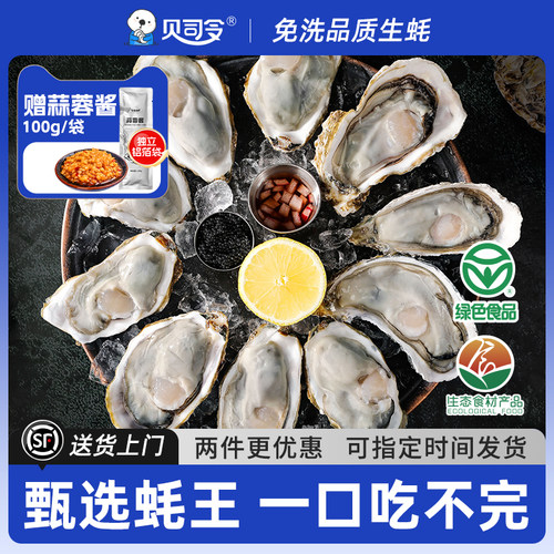 贝司令鲜活乳山生蚝顺丰到家