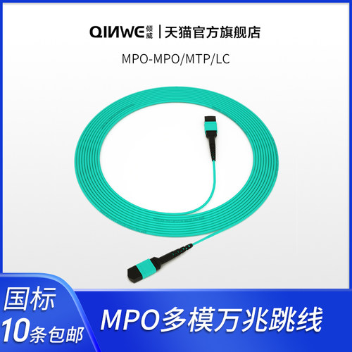 国内通用母头  适合万兆