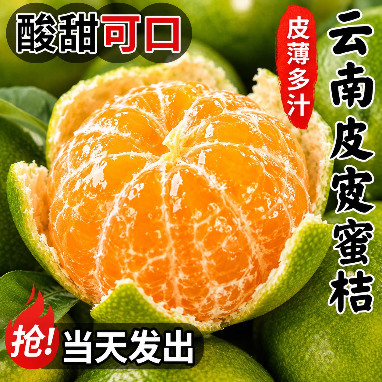 产地直发当季新鲜蜜桔