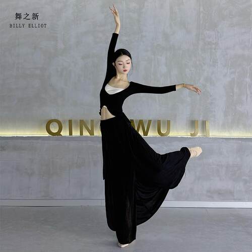 舞蹈练功服古典舞裙子开叉性感中国舞衣服半身裙新款现代舞演出服