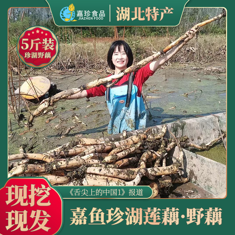 珍湖雪煨汤野藕莲藕湖北特产