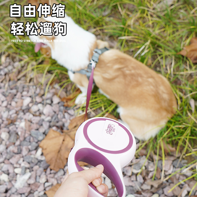 狗狗牵引绳自动伸缩金毛拉布拉多泰迪柯基大小型犬狗链子遛狗绳子