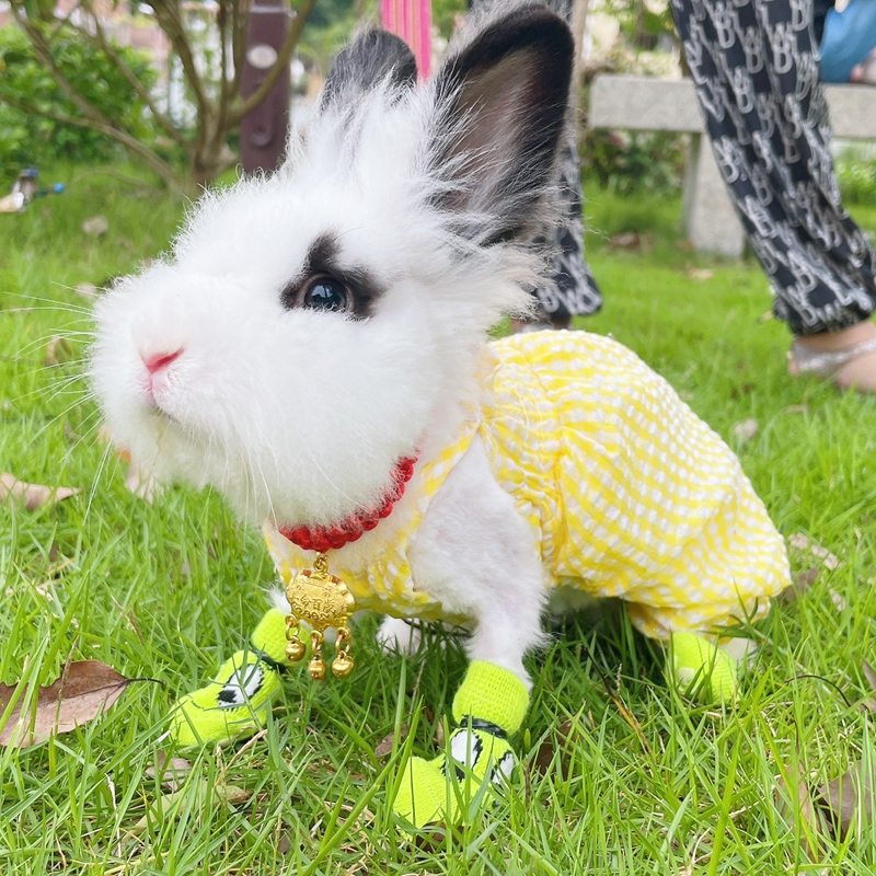 宠物兔子袜子外出鞋子防抓防脏防不掉脚套宠物用品