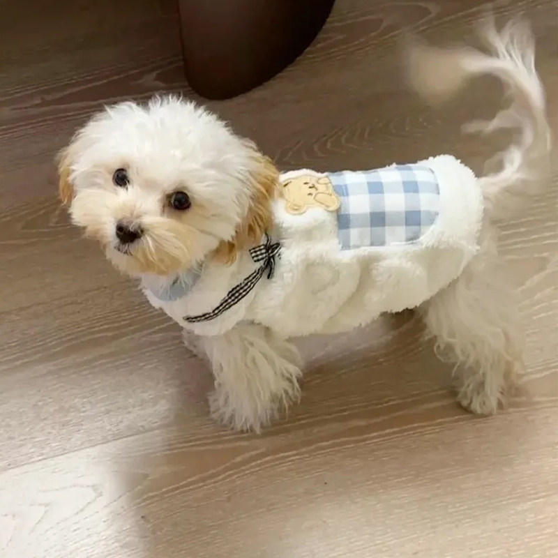 狗狗衣服秋冬款小型犬泰迪比熊博美贵宾宠物猫衣服防掉毛保暖背心