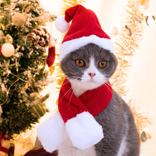 网红猫咪发箍帽子围脖狗衣服小猫披风头饰斗篷圣诞搞怪装 宠物饰品