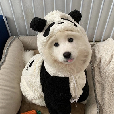 宠物冬季大狗衣服加厚保暖熊猫装金毛萨摩耶边牧中大型犬加厚棉服