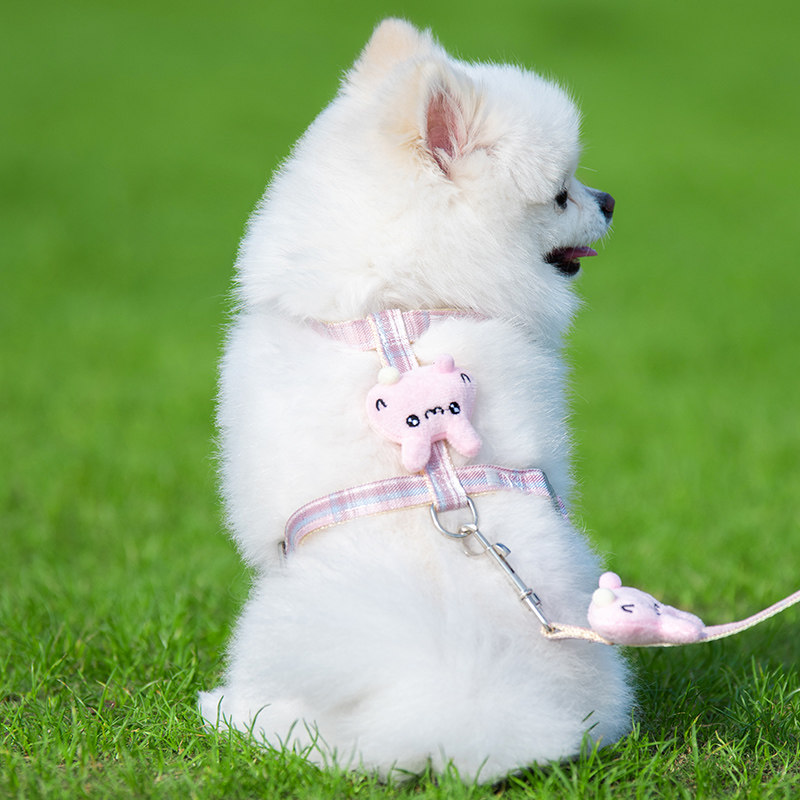 小型犬狗狗牵引绳胸背猫咪工字绳