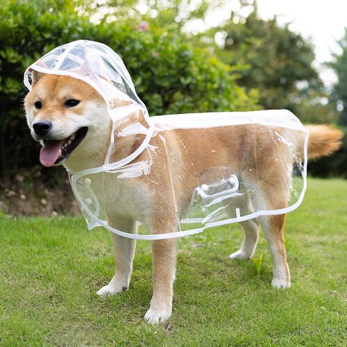 狗狗雨衣泰迪柴犬柯基专用外出