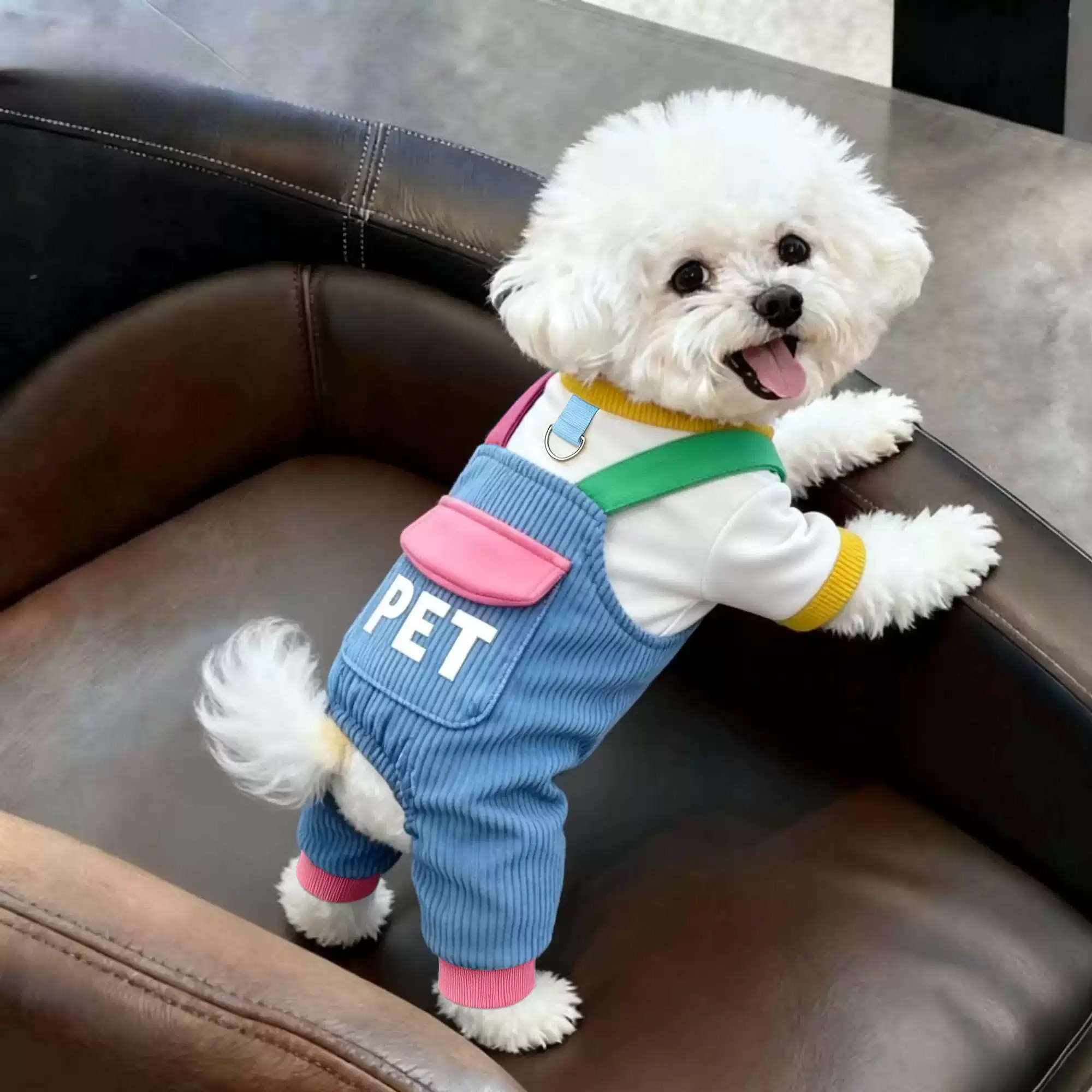 狗狗衣服春秋季薄款四脚背带裤比熊博美泰迪小型犬可牵引外出服装