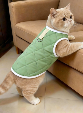 猫咪衣服加厚背心秋冬狗狗马甲可爱绿色可牵引防掉毛德文布偶蓝猫